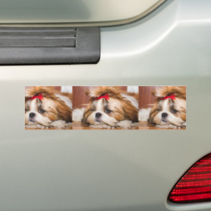 Adesivo Para Carro Sua foto personalizada do cachorro de estimação