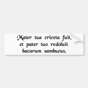 Adesivo Para Carro Sua mãe era um hamster e seu pai ......