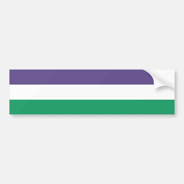 Adesivo Para Carro Suffragette Flag Pró-Escolha das Mulheres (Frente)