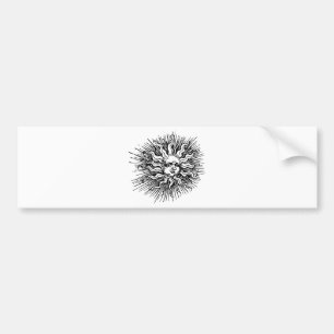 Adesivo Para Carro Sun enfrenta