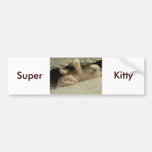 Adesivo Para Carro Super Hero Kitty Cat