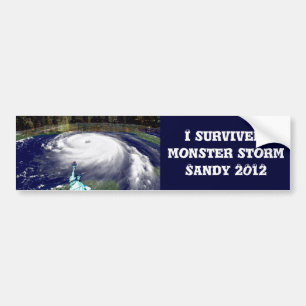 Adesivo Para Carro Super Storm Sandy 2012, Olhos da tempestade_