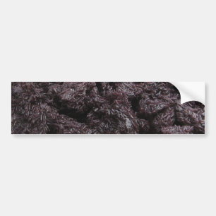 Adesivo Para Carro Tailandês Lao Black Sticky Rice [Khao Niao Dam]