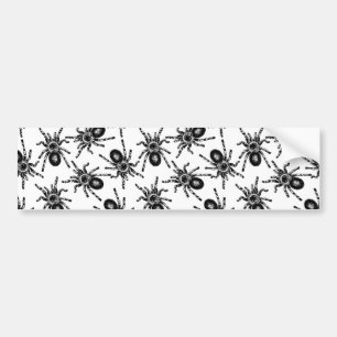 Adesivo Para Carro Tarantula