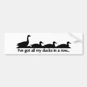 Adesivo Para Carro Tenho todos os meus patos seguidos...