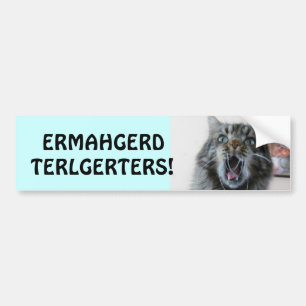 Adesivo Para Carro Terlgerters! Ermahgerd! Gatinho chocado Tailgaters