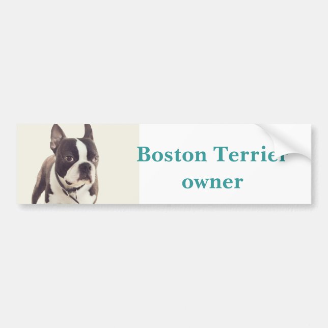 Adesivo Para Carro terrier de Boston (Frente)