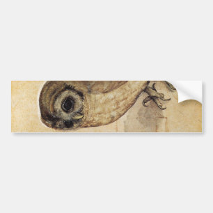 Adesivo Para Carro The Little Owl (por Albrecht Durer)