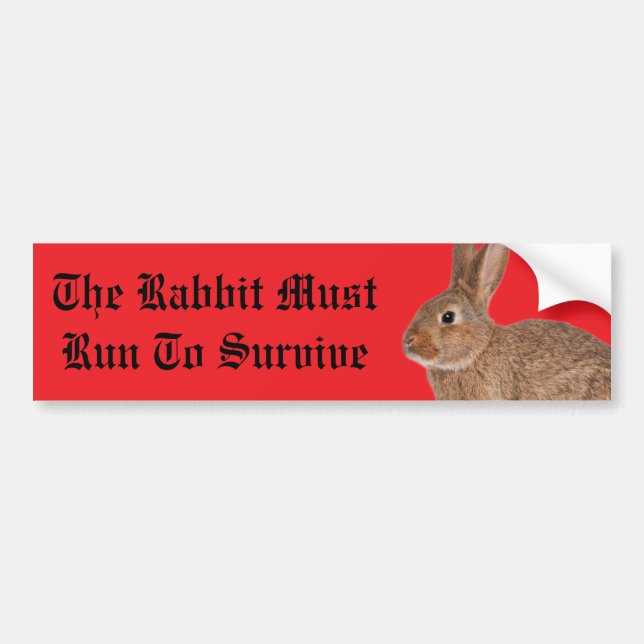 Adesivo Para Carro The rabbit must run to survive bumper sticker (Frente)