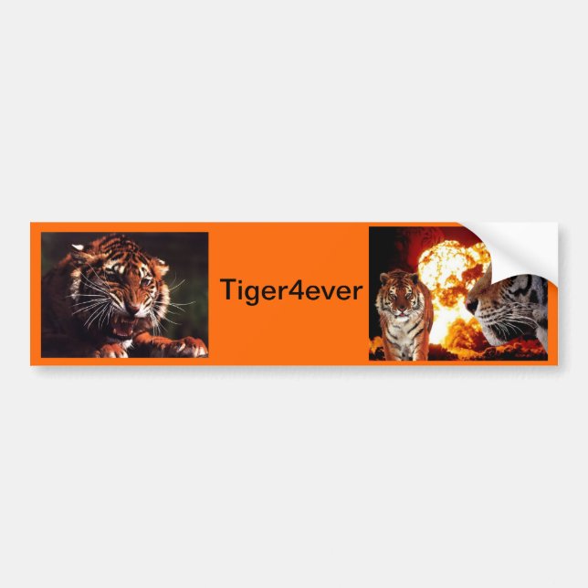 Adesivo Para Carro Tiger4ever (Frente)