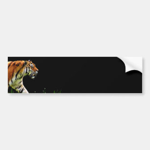 Adesivo Para Carro Tiger Aproximando-se - Trabalho de arte animal sel