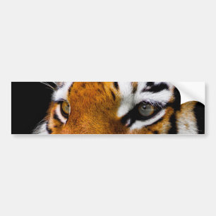 Adesivo Para Carro Tigre