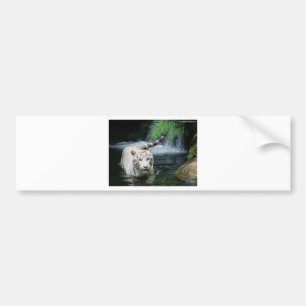 Adesivo Para Carro Tigre branco
