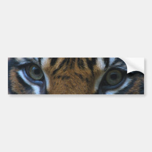 Adesivo Para Carro Tigre eyes