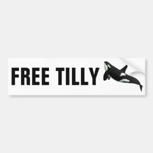 Adesivo Para Carro Tilly livre