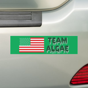 Adesivo Para Carro Time Algae Piscina Reflexiva Engraçado Anti-Trump