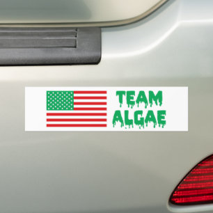 Adesivo Para Carro Time Algas Espelho Engraçado Anti-Trump