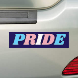 Adesivo Para Carro Tipografia Cores da Bandeira Orgulho Transgênero