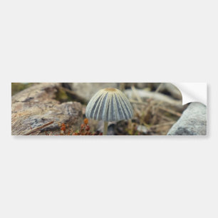Adesivo Para Carro Toadstool pequenina