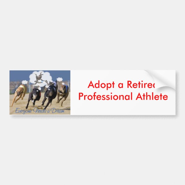 Adesivo Para Carro Todos precisa um sonho (Frente)