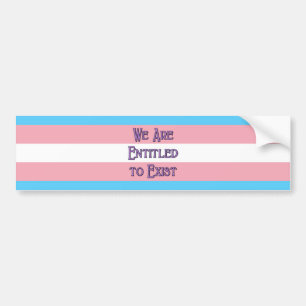 Adesivo Para Carro Trans Somos...