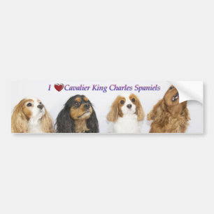 Adesivo Para Carro Três Cores do Cavaleiro Rei Charles Spaniels