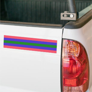 Adesivo Para Carro Trigender Pride
