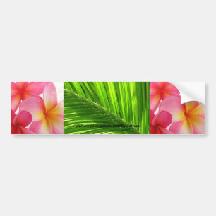 Adesivo Para Carro Tropical