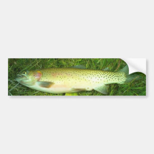Adesivo Para Carro truta de garganta cortada, mosca, pesca
