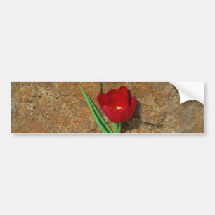 Adesivo Para Carro Tulipa vermelha e amarela