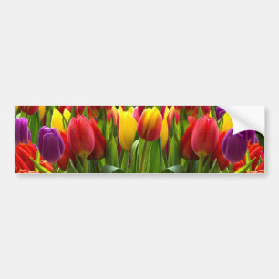 Adesivo Para Carro Tulipas Bris