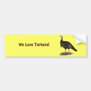 Adesivo Para Carro Turquia: Tom Selvagem Oriental