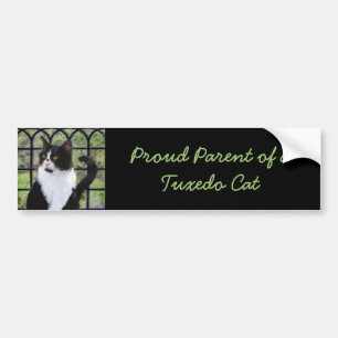 Adesivo Para Carro Tuxedo Cat em Pintura de Janela Arte Animal Origin