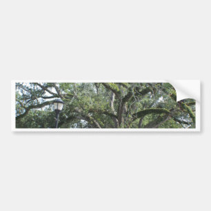 Adesivo Para Carro Uma caminhada no parque