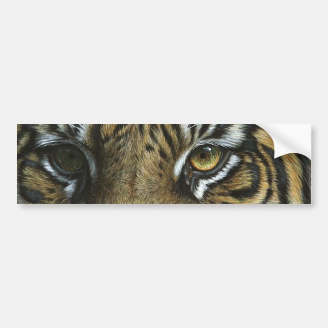 Adesivo Para Carro Uma cara do tigre (Frente)