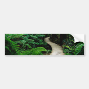 Adesivo Para Carro Uma estrada no meio da floresta selvagem