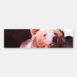 Adesivo Para Carro urso de urso
