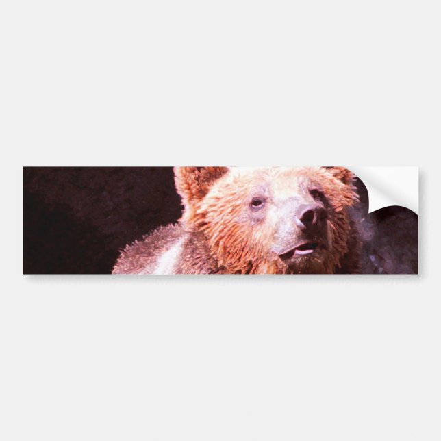 Adesivo Para Carro urso pardo (Frente)