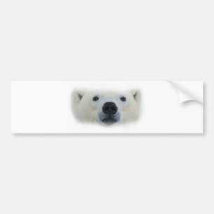 Adesivo Para Carro Urso Polar