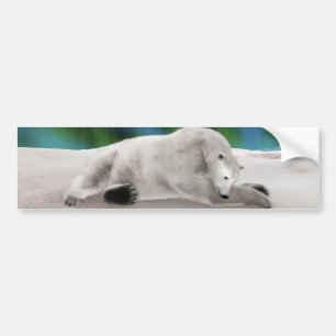 Adesivo Para Carro Urso Polar Descansando