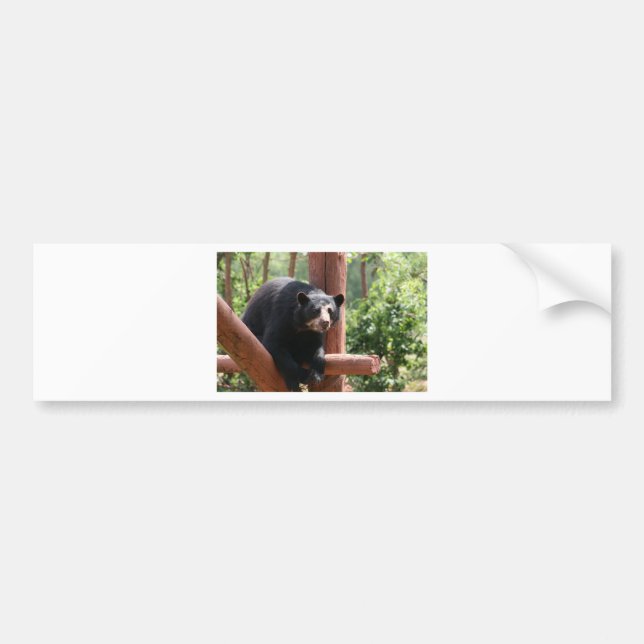 Adesivo Para Carro Urso Preto (Frente)