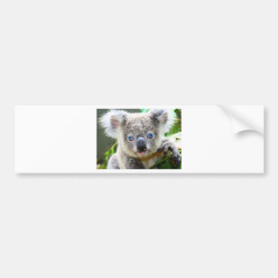Adesivo Para Carro Ursos Koalás