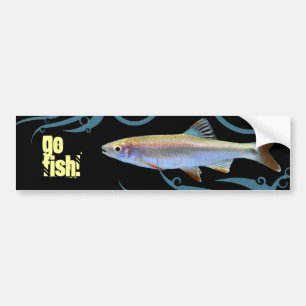 Adesivo Para Carro Vai, Peixe! Shiner Minnow