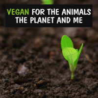 Vegan para os animais, o ativismo do planeta e do 