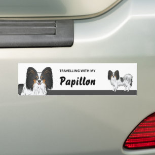 Adesivo Para Carro Viajando Com Meu Cachorro Papillon Tricolor