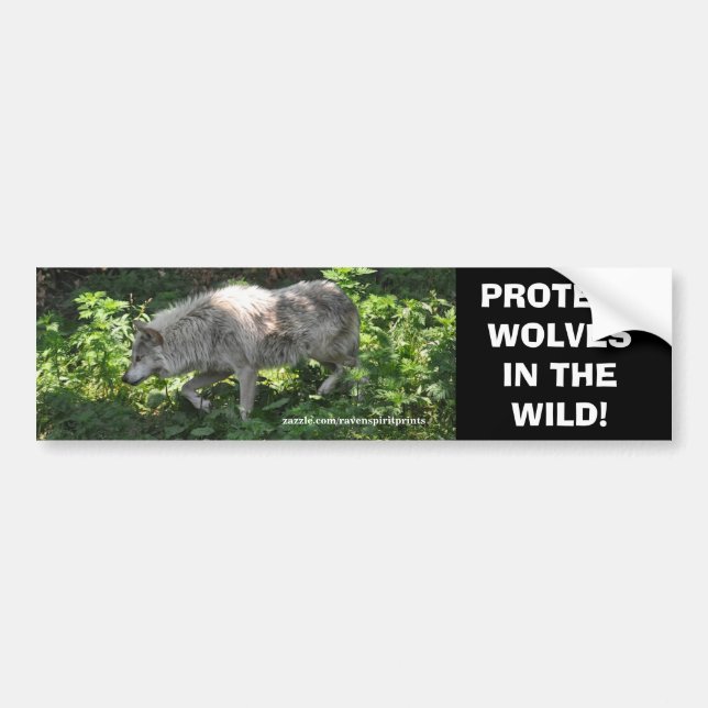 Adesivo Para Carro VÍDEO WHITE WOLF Wildlife Conservation Bumper (Frente)