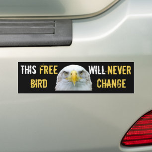 Adesivo Para Carro Vinheta de aves grátis