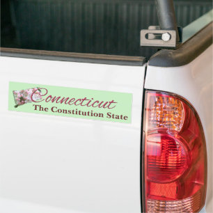 Adesivo Para Carro Vinheta para-choques - CONNECTICUT