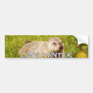 Adesivo Para Carro Vinheta para-choques de inverno longo