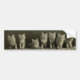 Adesivo Para Carro Vintage Retro Old Timey Kittens Gatinhos Gatos